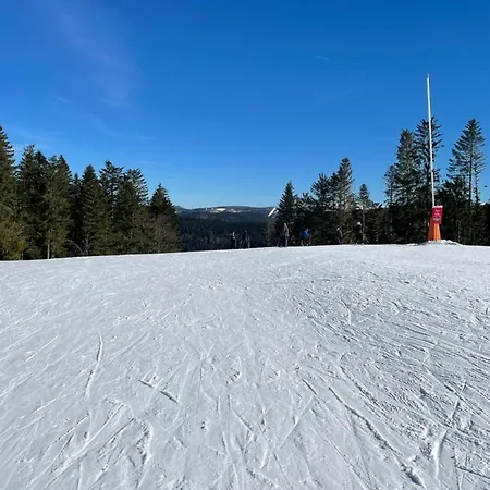Apartamento De La Cercenée *