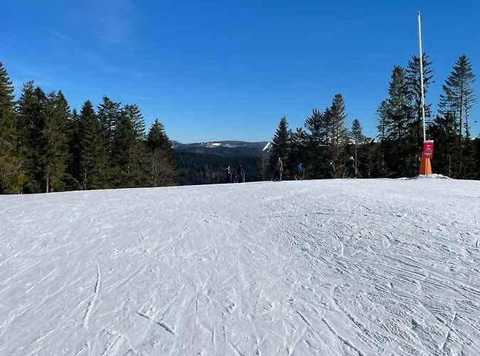 Apartmán De La Cercenee *